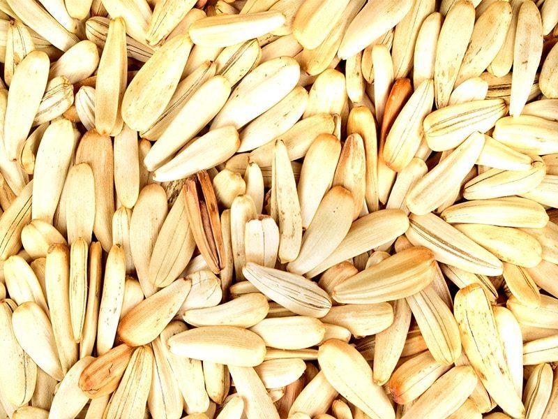 Ay Çekirdeği Tuzsuz