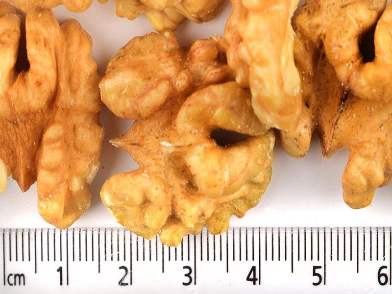 Ceviz İçi İthal (Chandler)