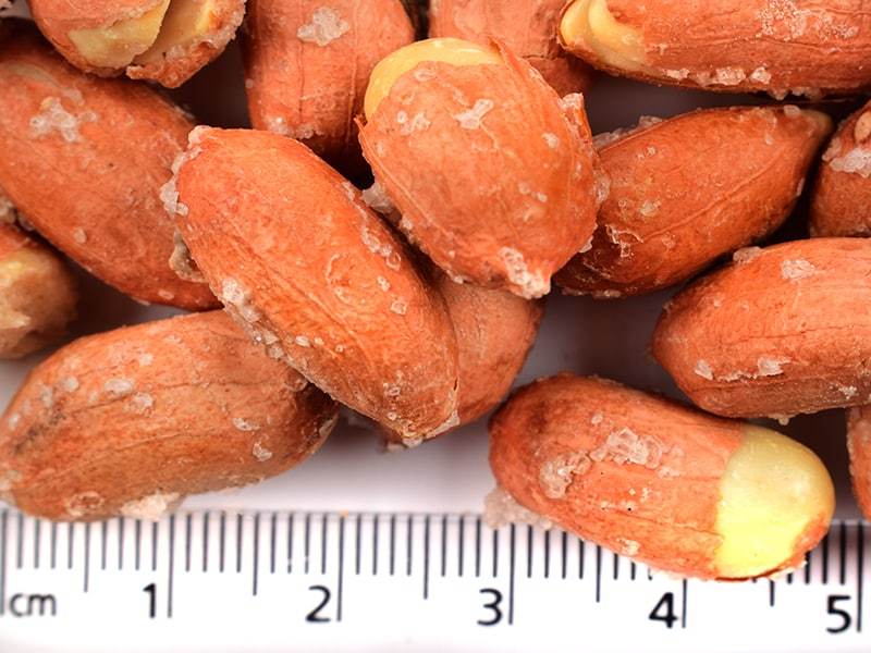 Tuzlu Yer Fıstığı İçi