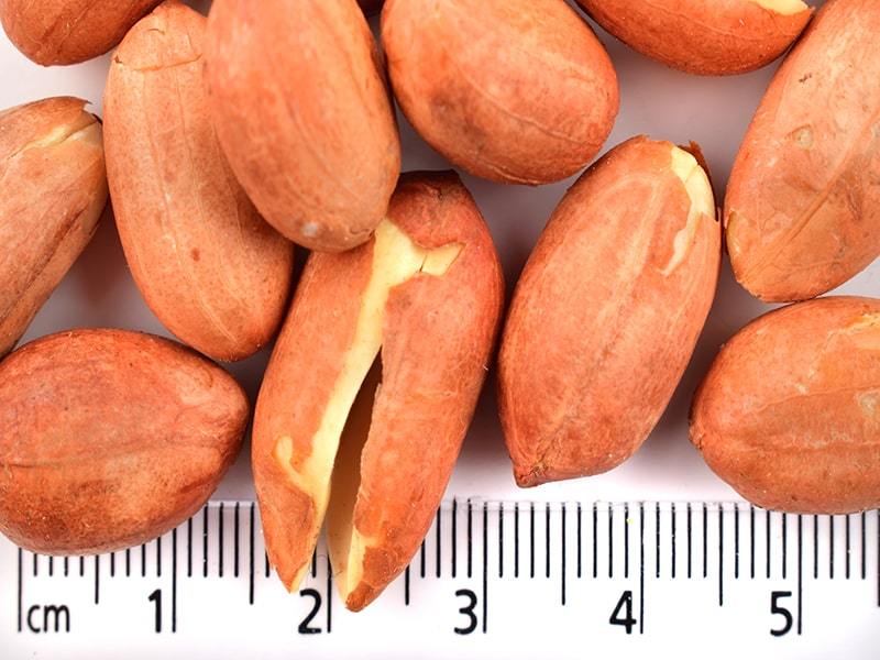 Tuzsuz Yer Fıstığı İçi