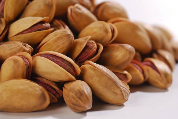 Antep Fıstığı Anaçıtlak