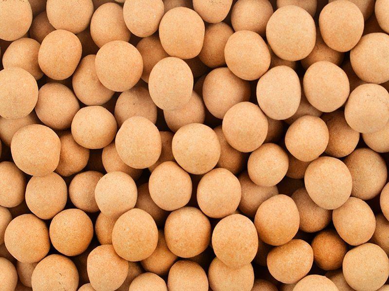 Soya Kaplamalı Çıtır Leblebi